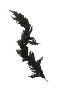 Haunted Hollow Garland