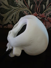 Load image into Gallery viewer, Table Top Dimensional Skull