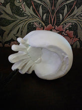 Load image into Gallery viewer, Table Top Dimensional Skull