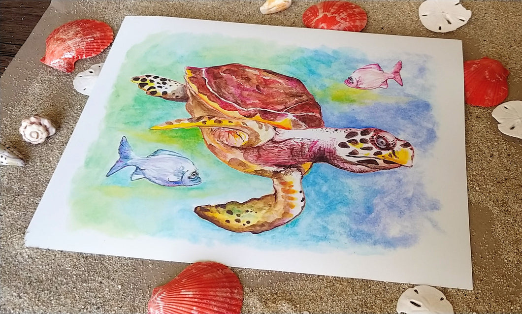 Limited Run Hawksbill Turtle Watercolor Print