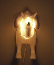 Night Night Buddy! Glow-in-the-dark nightlight