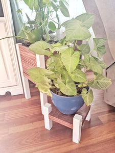 Trä Plant Stands nesting set TWO PLANT STANDS!
